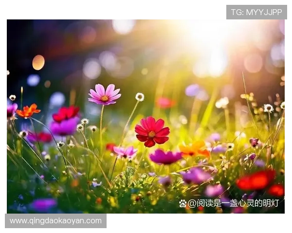 云开如一场洗礼,让心灵得到净化,迎来新的希望与机遇 云开如一场洗礼,让心灵得到净化,迎来新的希望与机遇