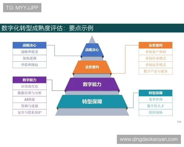 开云体育直营：数字化转型带来的行业变革与未来趋势