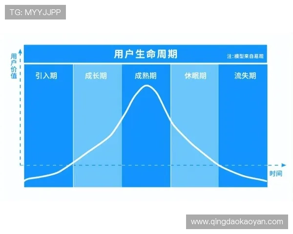 亚星正网合作助力企业提升在线运营效率与市场竞争力 亚星正网合作助力企业提升在线运营效率与市场竞争力