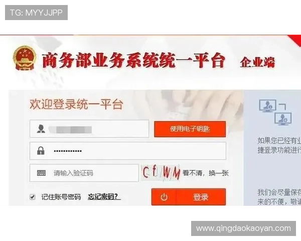 亚星登录官网222登录失败原因分析与解决方案，确保顺利访问平台