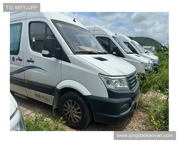 亚星网址导航大全,快速找到你想要的亚星相关服务和内容 亚星网址导航大全,快速找到你想要的亚星相关服务和内容