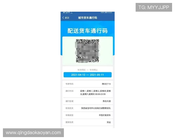 亚星yaxin222手机登录入口最新安全指南与操作流程详解