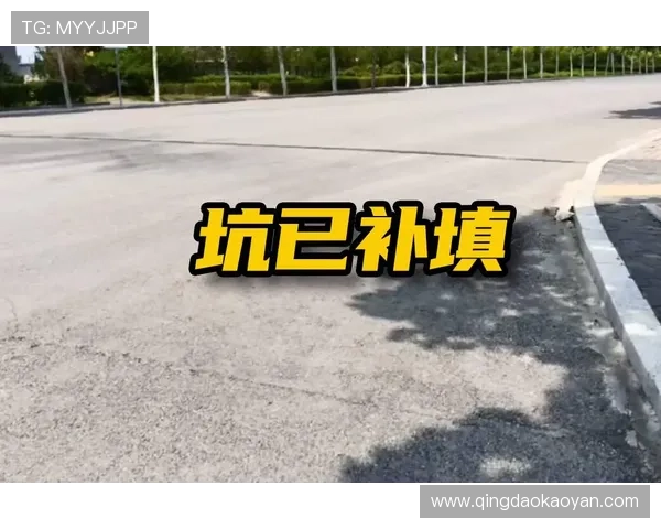 亚星娱乐集团官网最新官方信息全面介绍，助你了解公司发展动态与业务布局