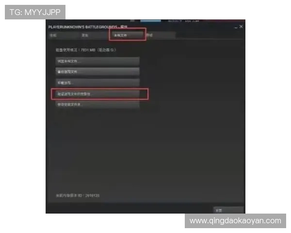 亚星旗舰平台安全保障措施详解：为玩家提供安全稳定的游戏环境