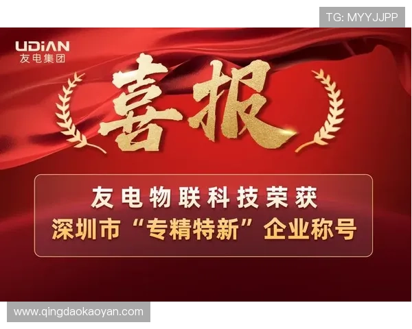 k8凯发·国际用户反馈与成功案例分享,提升新用户的信心与选择意愿 k8凯发·国际用户反馈与成功案例分享,提升新用户的信心与选择意愿