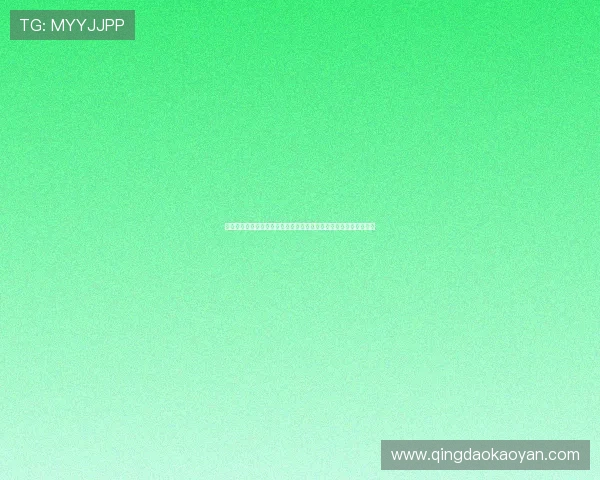 亚星的网址最新入口，全面解析官方平台的访问指南与安全保障措施